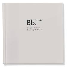 Livre de naissance Jumeaux "Pure"